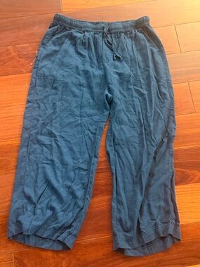 Splendid Casual Drawstring Pants - Blue